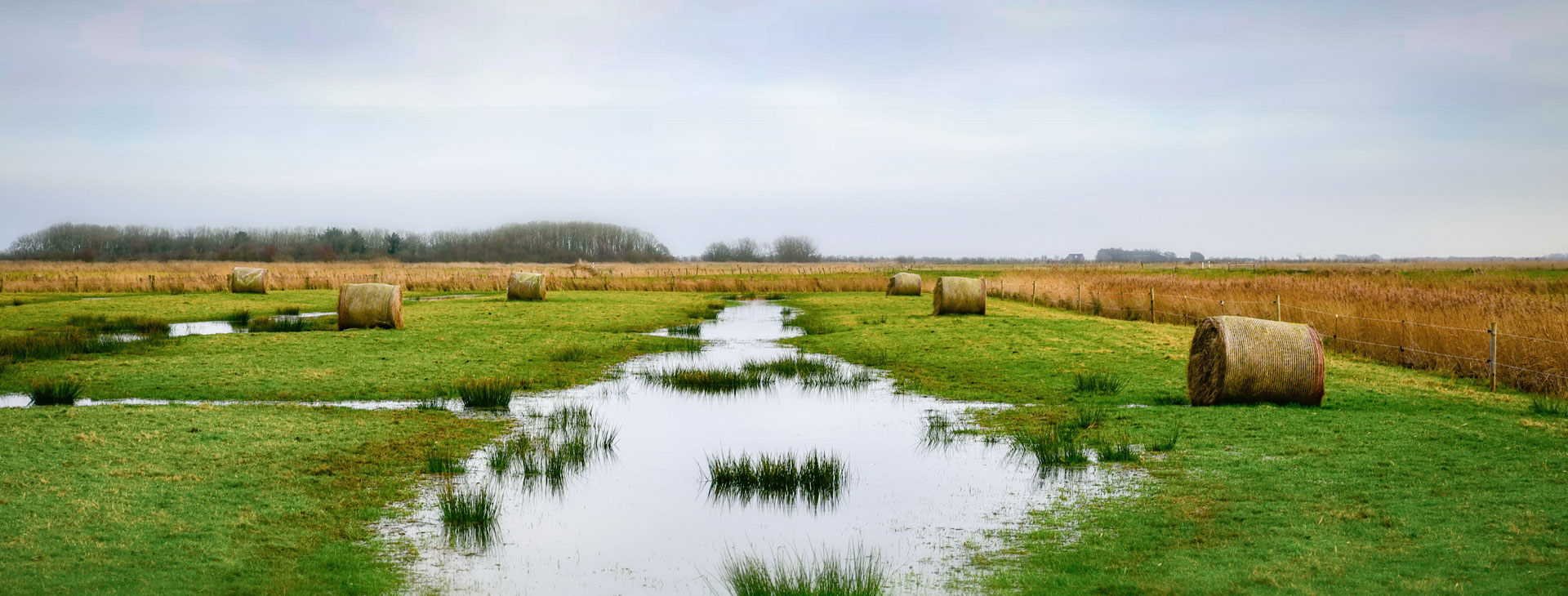 Natur genießen in der Föhrer Marsch