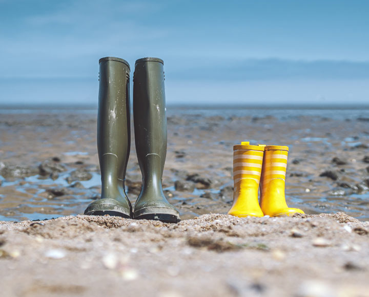 Nordsee erleben - Ausflugsziele auf Föhr
