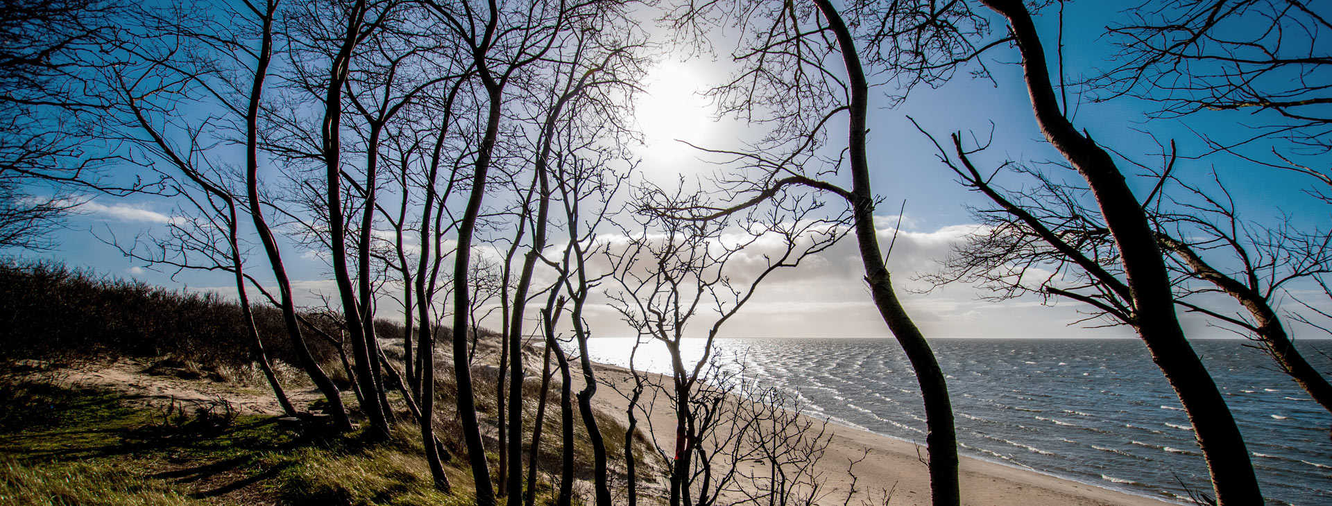 Früher war Föhr eine Insel der Seefahrer und Walfänger